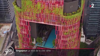 Singapour : le pari de la "nation verte" pour lutter contre le réchauffement climatique