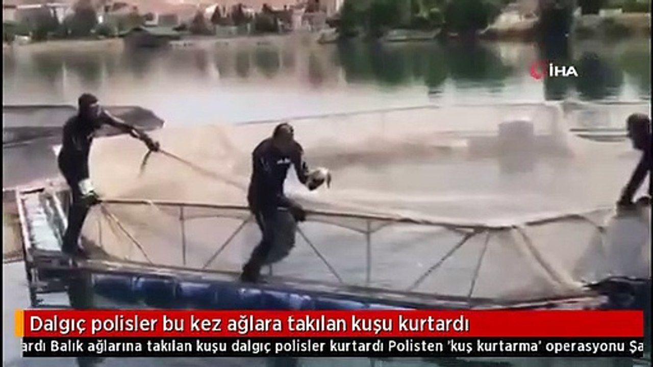 Dalgıç polisler bu kez ağlara takılan kuşu kurtardı