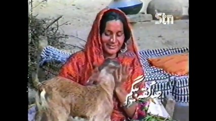 Rohi Dhoop Jali - Long Play Part I