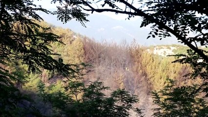 OSMANİYE - Orman yangını kontrol altına alındı