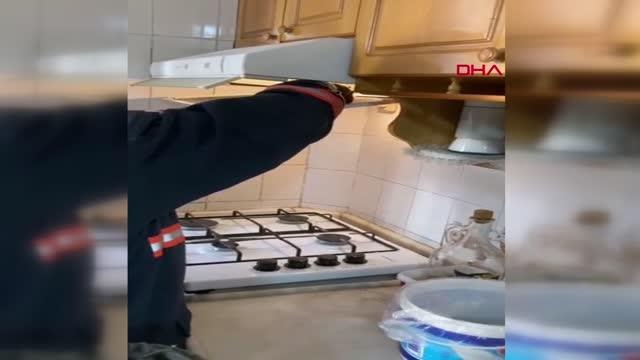MERSİN DAVLUMBAZDAN 4 YARASA ÇIKTI