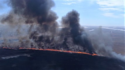 How wildfire smoke can affect your health