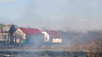 What wildfire smoke toxins could you be inhaling?