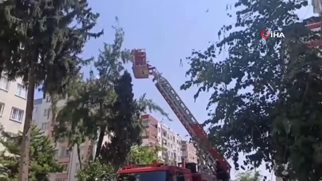 Anne karga, itfaiye ekiplerine zor anlar yaşattı