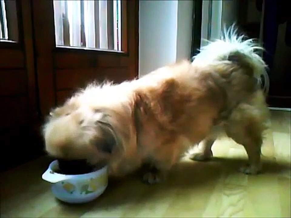 Meal time!