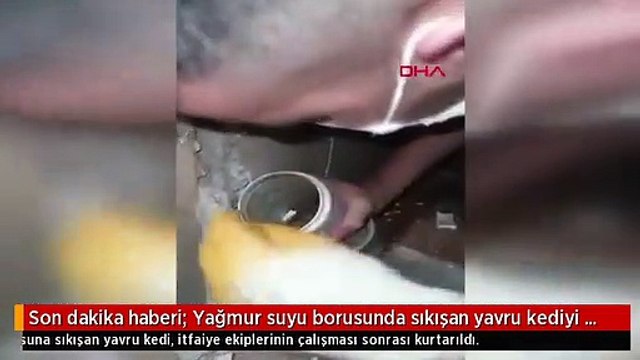 Son dakika haberi: Yağmur suyu borusunda sıkışan yavru kediyi itfaiye kurtardı