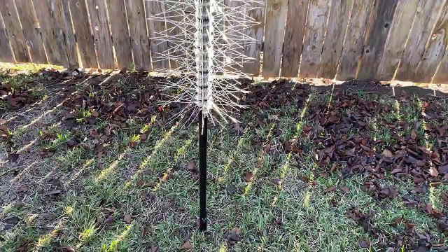 Diy Bird Feeding Hacks - Squirrel Proof Feeder