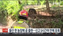 [핫클릭] 울산 한 농장에 곰 출현…신고 5시간여 만에 포획 外