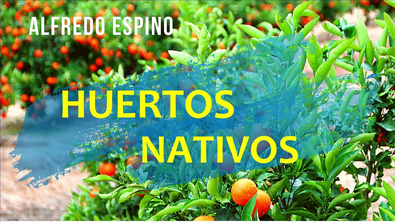 HUERTOS NATIVOS ALFREDO ESPINO | Poema Huertos Nativos de Alfredo Espino | Valentina Zoe Poesía