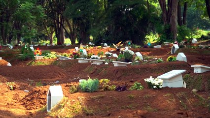 Brasil supera 440 mil mortes por covid