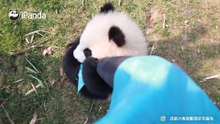 你抱错大腿了