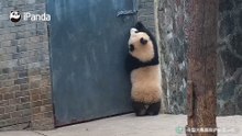 腿到用时方恨短