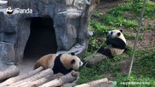 拔河比赛