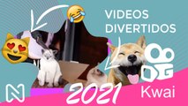 VIDEOS DE RISA MUY DIVERTIDOS, Si Te RÍES PIERDES Nivel: KWAI  MAYO 2021.