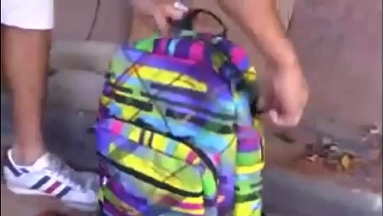 making fun of stupid cops