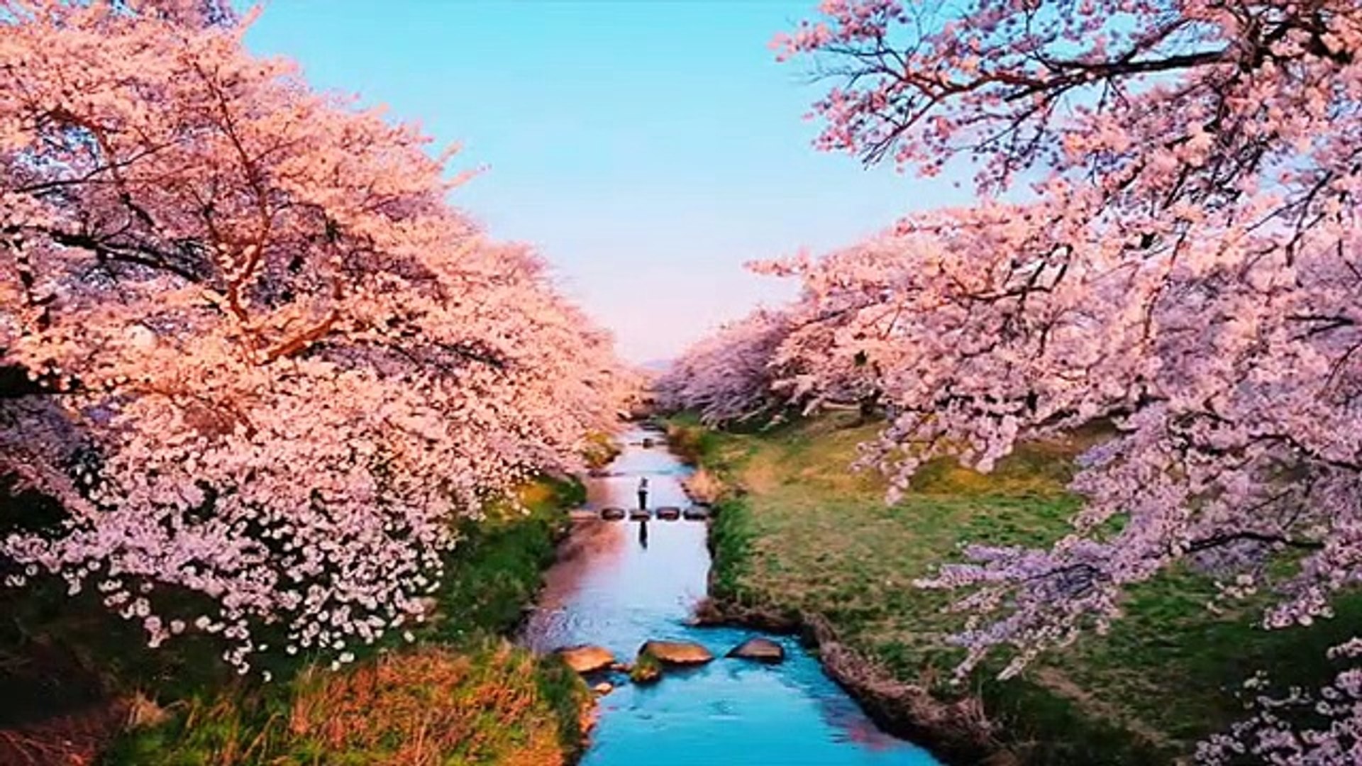 Chinese Bamboo Flute Music, Healing Music, Relaxation Music, Study Music, Study Music