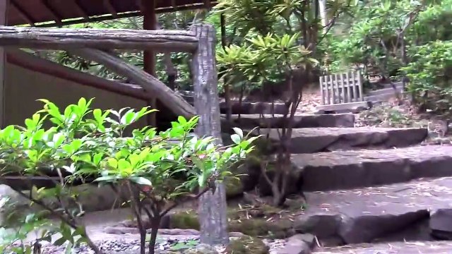 Bamboo Forest - Bamboo Forest (Full Album) [Psychedelic Visuals]