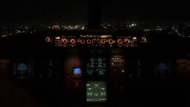 Bamboo Airways Airbus A319 | Cockpit View | Landing At Tan Son Nhat International Airport
