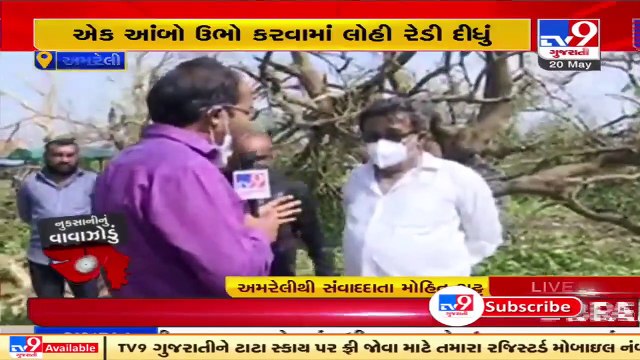 Pitiable conditon of farmers as cyclone Tauktae wreaks havoc on mango, banana crops, Amreli _TV9News