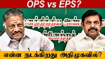 தனி தனியாக அறிக்கைகள் விடும் OPS மற்றும் EPS.. என்ன நடக்கிறது AIADMK-வில் ?