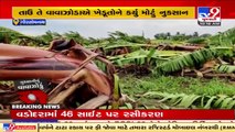 Gir-Somnath_ Farmers incur serious losses due to cyclone Tauktae _ TV9News