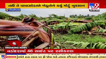 Gir-Somnath_ Farmers incur serious losses due to cyclone Tauktae _ TV9News