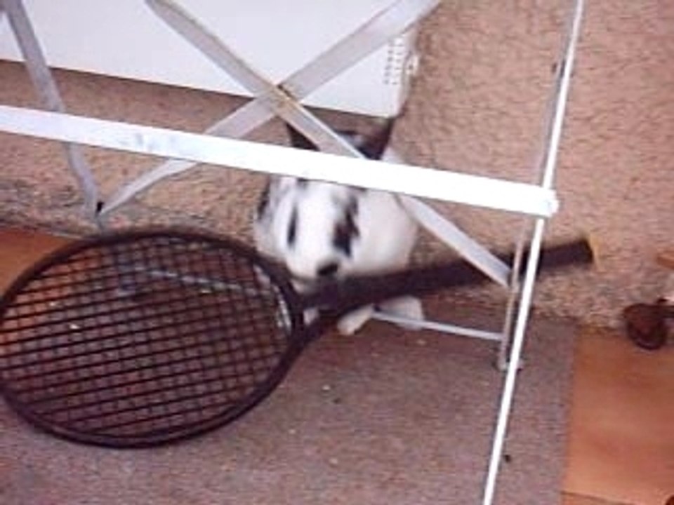 Chatouille qui range 2