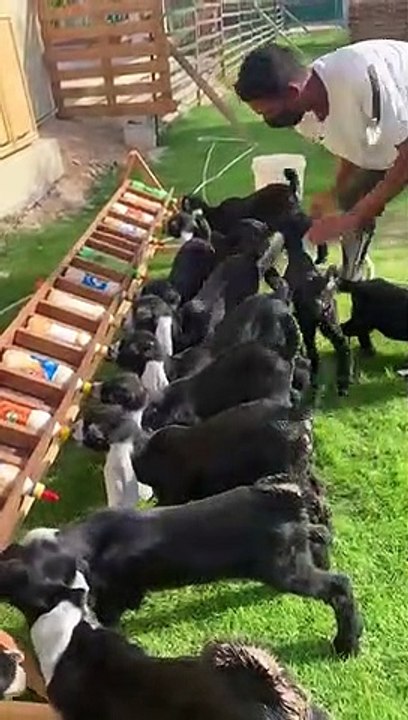Bon appétit !!!