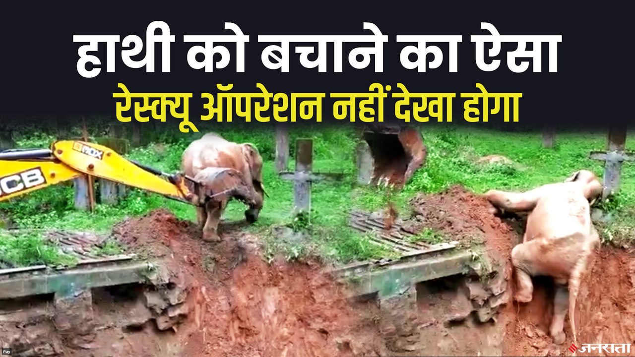 कीचड़ में फंसे हाथी की मुश्किल से बची जान, वन अधिकारियों ने किया रेस्क्यू, देखें Viral Video | Elephant Rescue Viral Video