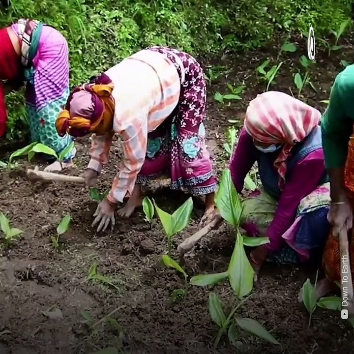 Womaniya Wednesday: Meet The Lawyer Turned Organic Farmer, Aparna ...