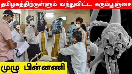 தமிழகத்தில் அதிகரிக்கும் Black Fungus.. அறிவிக்கப்பட வேண்டிய நோய் பட்டியலில் சேர்த்த TN Government