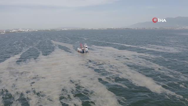 İzmit Körfezi'nde 50 günde 150 ton deniz salyası toplandı