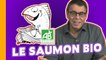 Le Saumon Bio - Le Grain de Sel de Jean-Michel Cohen