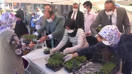 AFYONKARAHİSAR - Sandıklı'da ata tohumundan üretilen fideler vatandaşlara dağıtıldı