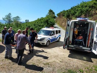 Ordu'da kestiği ağacın altına kalan yaşlı şahıs, 112 ekiplerince kurtarıldı