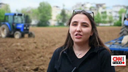 Lisede mor patates üretimi