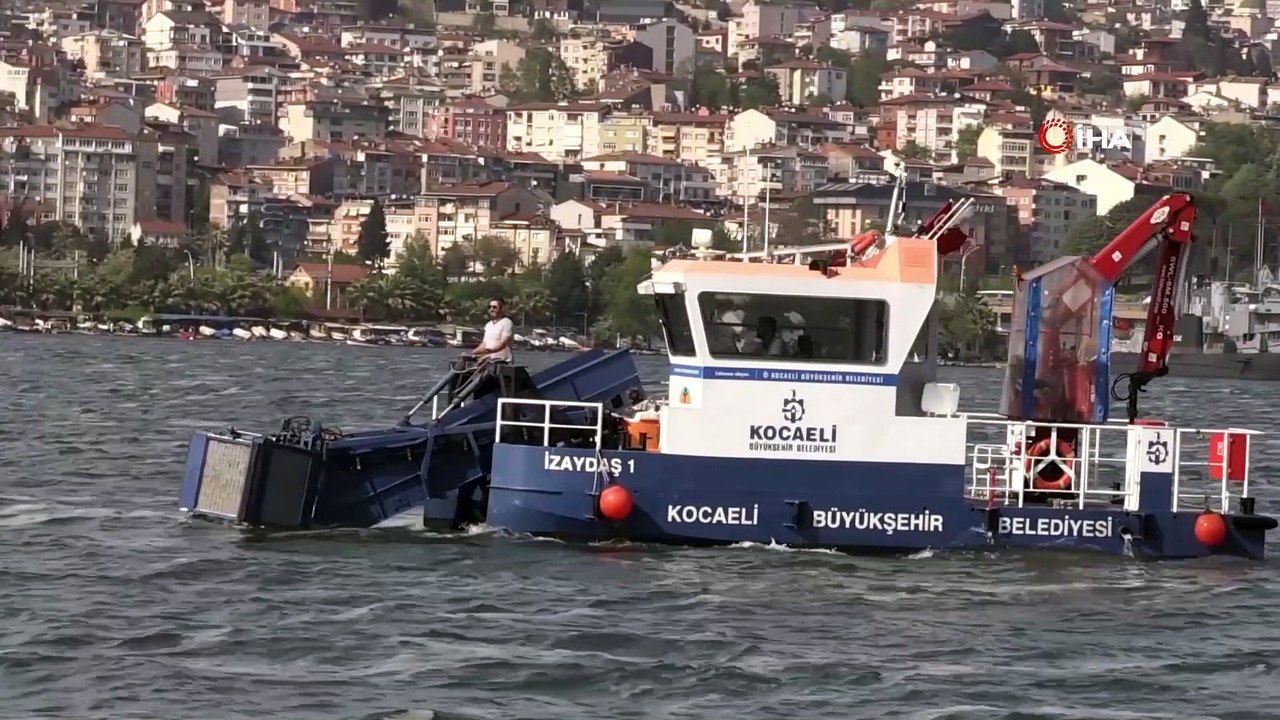 İzmit Körfezi’nde 50 günde 150 ton deniz salyası toplandı