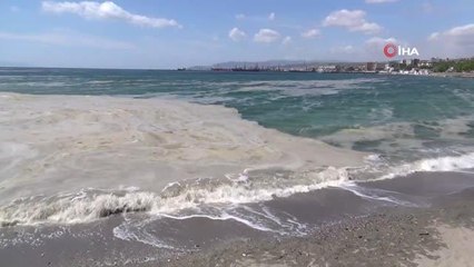 Balıkçıların kirli kabusu 'salya' geri döndü