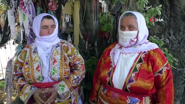 20 metre boyundaki asırlık ulu kavak ağacı, heybetli görüntüsü ile dikkat çekiyor