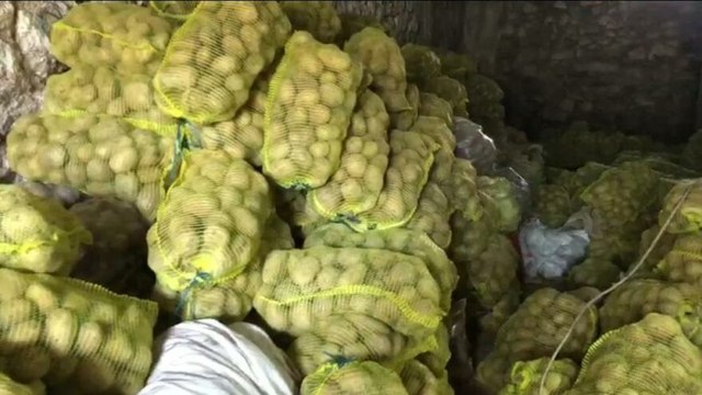 ‘Patates alımı durdu, 100 bin ton patates çürümeye terkedildi’