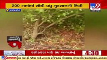 Massive loss to farmers due to cyclone Tauktae, Survey begins in Rajkot _ TV9News