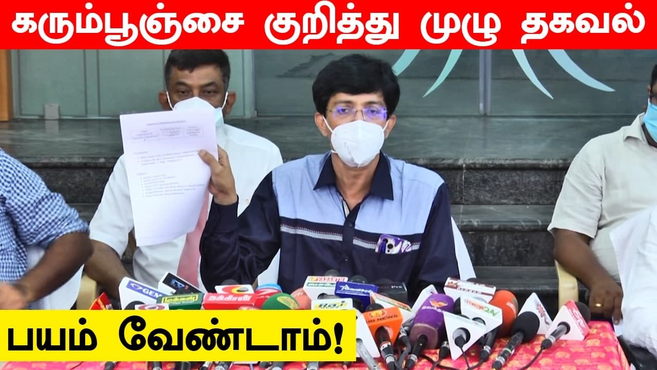 Tamilnadu-வில் Black Fungus காரணமாக உயிரிழப்பு ஏற்படவில்லை- சுகாதாரத்துறை செயலாளர் Radhakrishnan