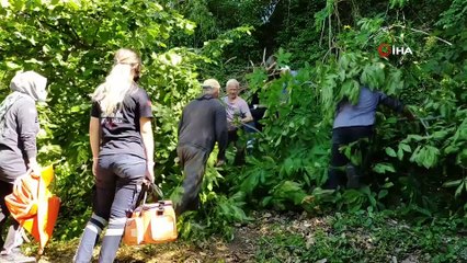 Ordu’da kestiği ağacın altına kalan yaşlı şahıs, 112 ekiplerince kurtarıldı