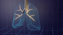 Mantén limpios tus PULMONES. Remedios naturales para limpiar y cuidar tus pulmones.