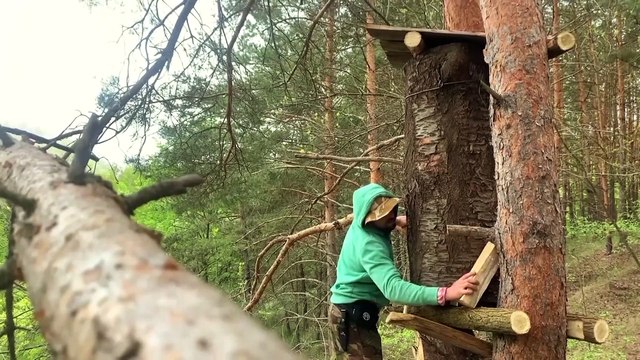 بمناسبة اليوم العالمي للنحل... كيف يتم تربية النحل البري؟