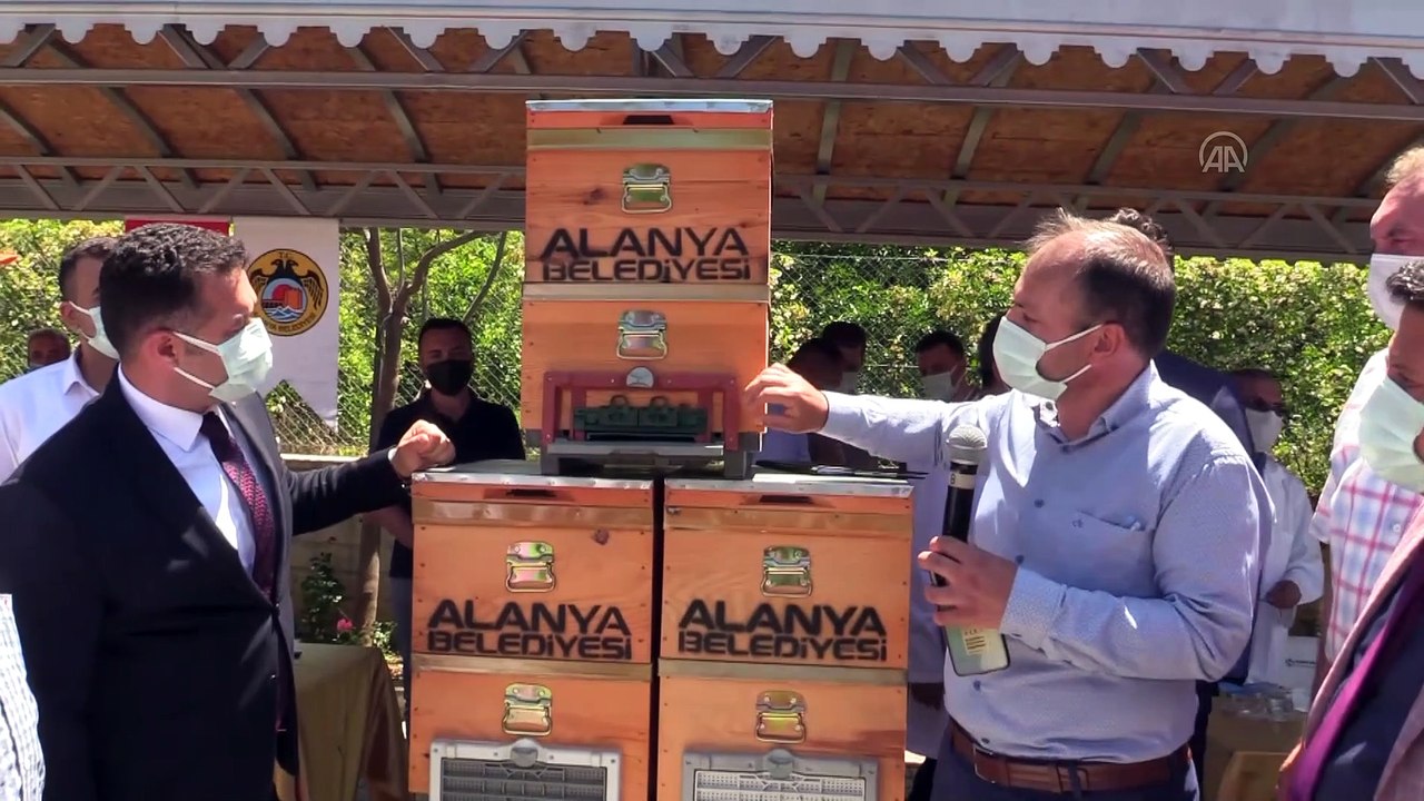 ANTALYA - Alanya'da 400 arıcıya 2 bin kovan hibe edildi