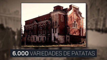 Murieron de hambre rodeados de comida  (Historias de la Historia)