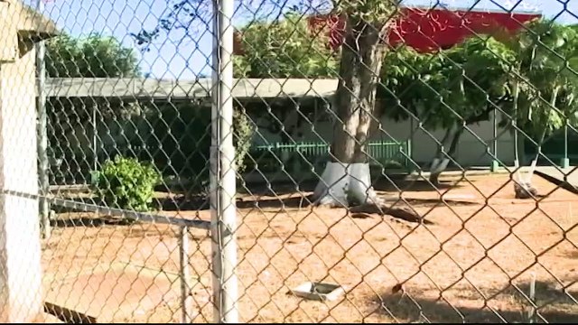 Costa Rica Noticias - Resumen 24 horas de noticias 20 de mayo del 2021