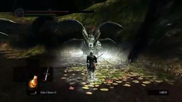 Dark Souls: Soldat Carcasse [31] Carcasse 4 Life