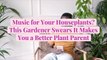 Music for Your Houseplants? This Gardener Swears It Makes You a Better Plant Parent